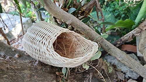 повече естествени кокосови влакна Time за Птичи гнезда от Easy Time Small
