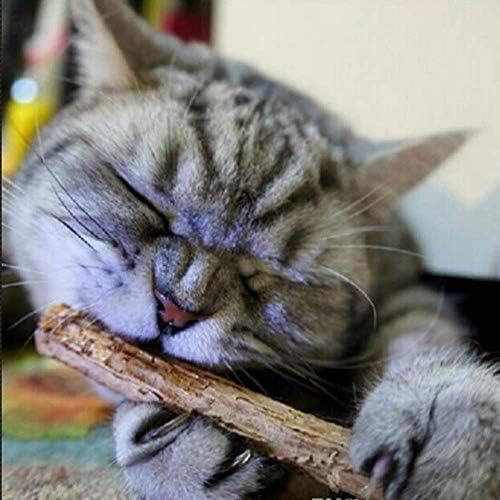 Коча билка Smokey's Stash и Алтернативни детски играчки за дъвчене от коча билка е за котки, използвано за Почистване на зъбите, Мощен набор от