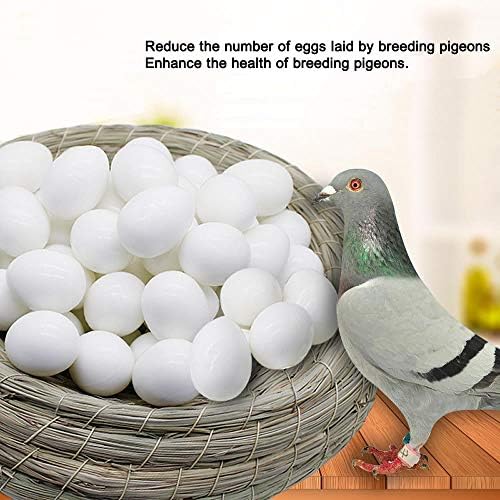 Huwaimi 13g Твърди Пластмасови яйца-залъгалка за Състезателни гълъби 20pcs (Бели 20pcs)