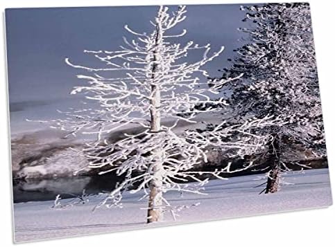3. Покрити със сняг дърво - Подложки за работния плот (dpd-284909-1)