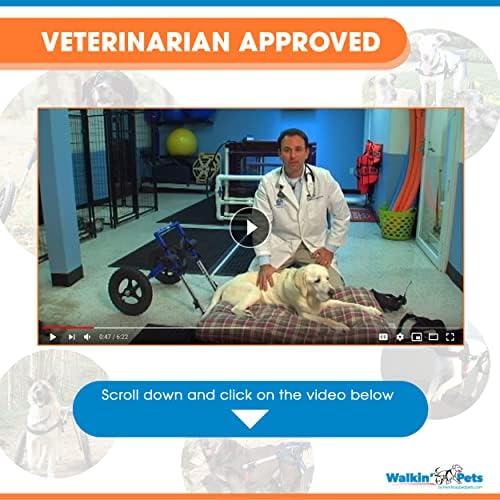 Инвалидна количка за кучета - XS за мини/Играчки породи тегло от 2 до 10 кг - Одобрен ветеринарен лекар - Инвалидна количка за кучета със задните си лапи