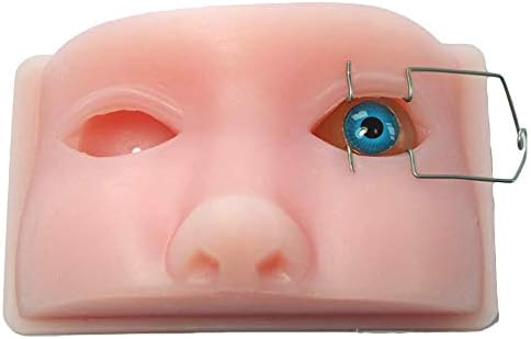 Очна модел на главата на човека LUCKFY, ултразвукова симулатор операция на емулгиране, за микроскопия, имитация на очите на животните, учебен модел за студенти по меди