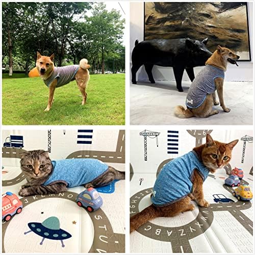 Тениска за кучета и котки DAJIDALI от технологичной плат с светящимся принтом, Дрехи за големи, Средни и малки кучета, 2 опаковане на леки функционални тениски