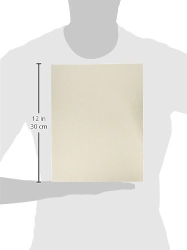 За многократна употреба Промокашки за дивана Arnold Grummer, 9,5 x 12 Инча, 20 Листа - 506, Бял