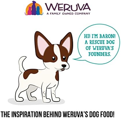 Weruva Dogs в кухнята, Фънк в багажника с Пилешки гърди и Тиква като храна за кучета, банка 10 унции (опаковка от 12 броя)