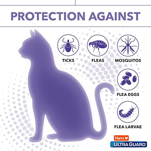 Нашийник от бълхи и кърлежи Hartz UltraGuard Pro за котки и Котенца, Превенция и защита от бълхи и Кърлежи в